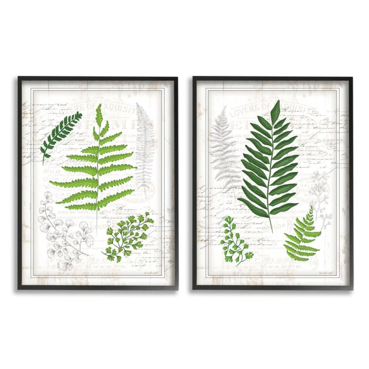 Stupell Industries Antique Fern Study with Script Forest Greenery Framed Wall Art Set
